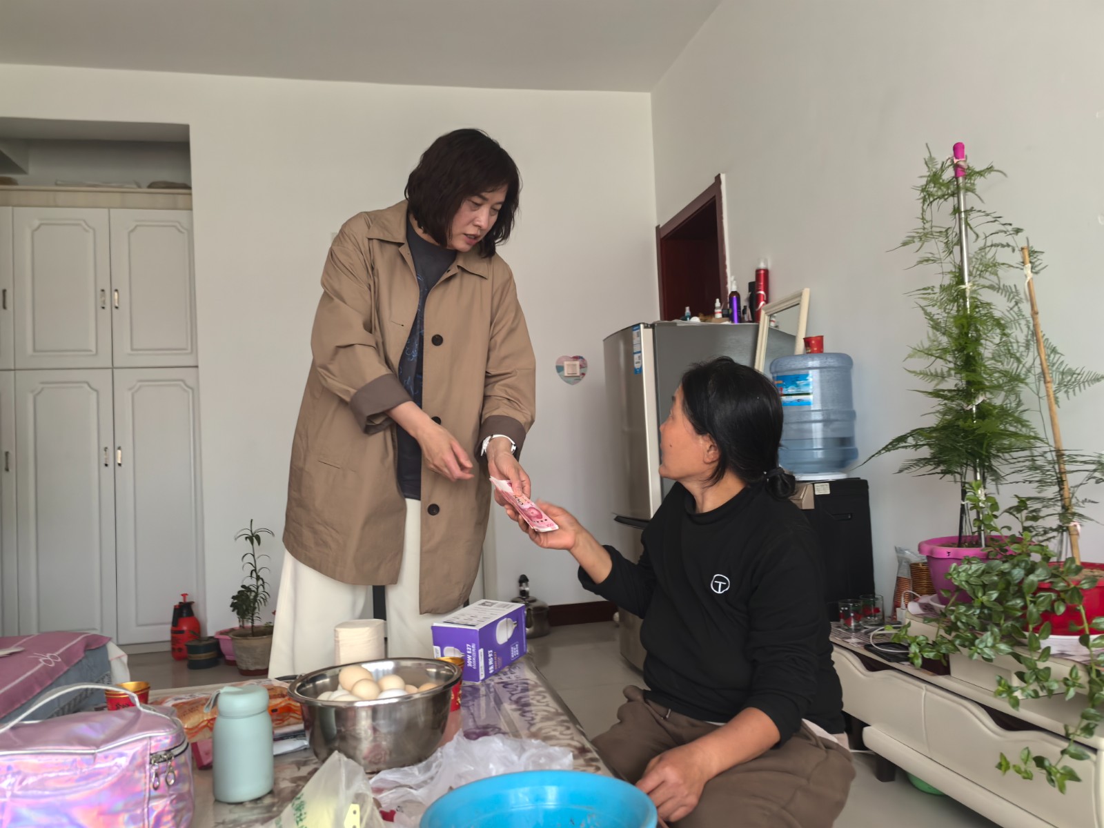 微信图片_20250509162552.jpg